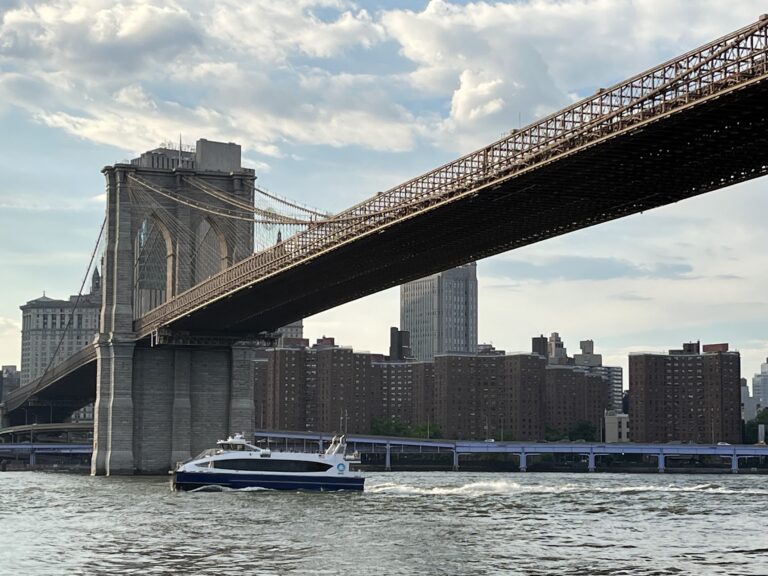 Brooklyn Bridge History Tour